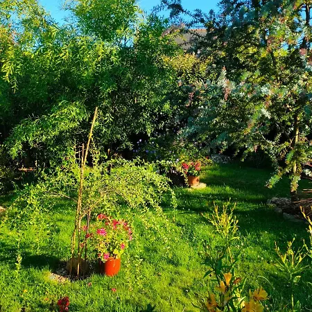 Studio vue sur jardin à 3 mn en voiture de la mer Fouesnant Esterno foto
